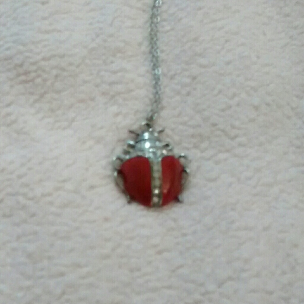 🎈Ladybug Necklace